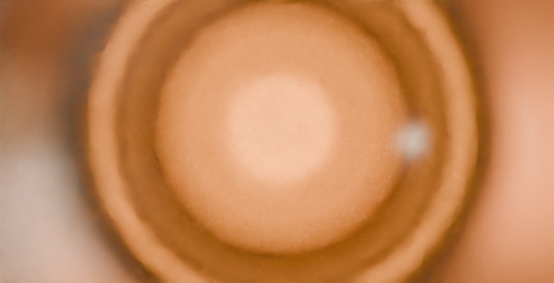 Backgrond Image 64