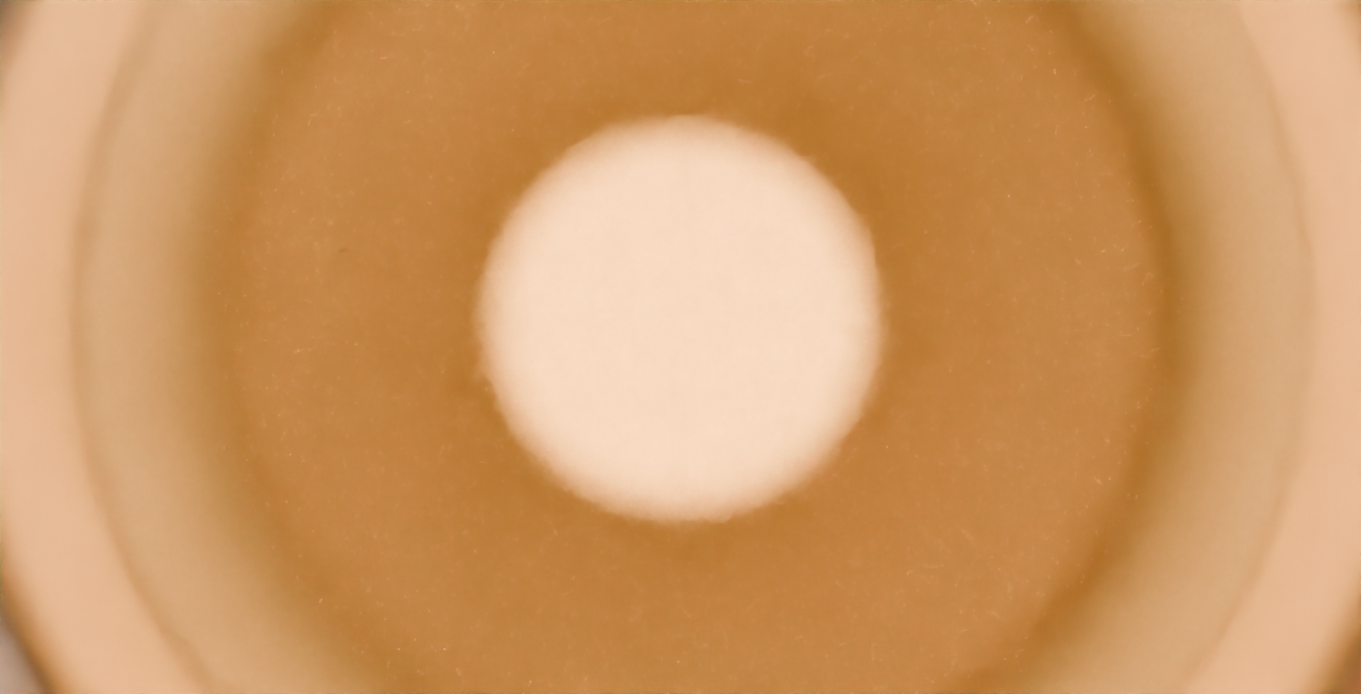 Backgrond Image 66