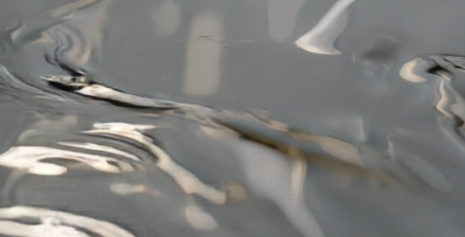 Backgrond Image 78