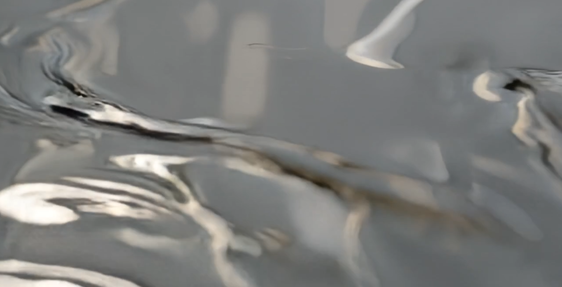 Backgrond Image 79