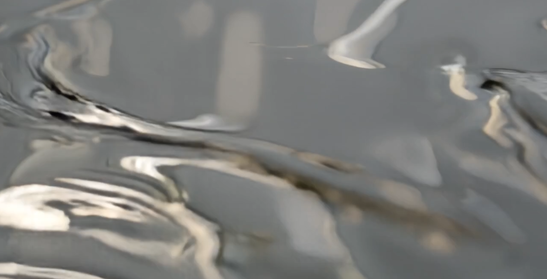 Backgrond Image 80